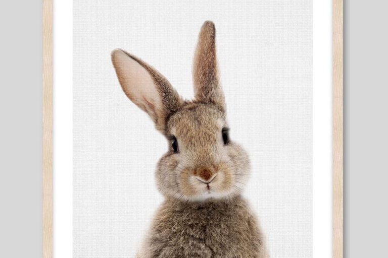 woodland bunny lila and loa