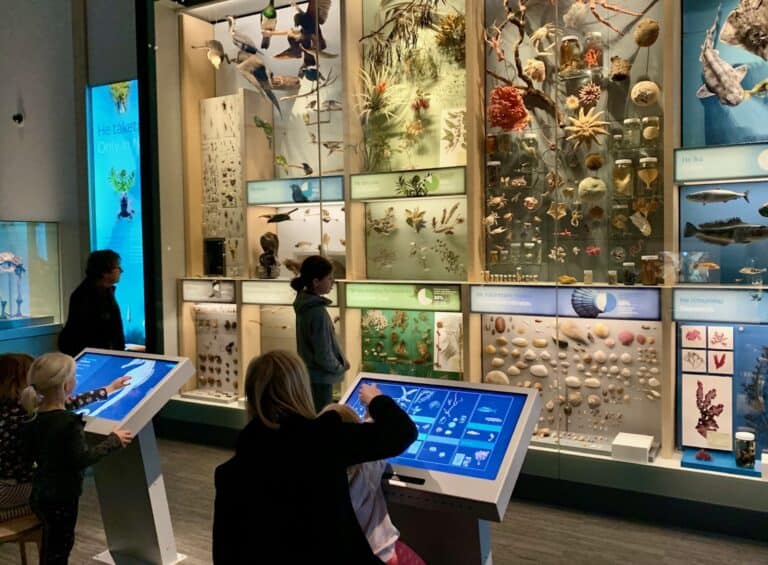 Te Taiao | Nature exhibition at Te Papa Tongarewa - Museum of New Zealand