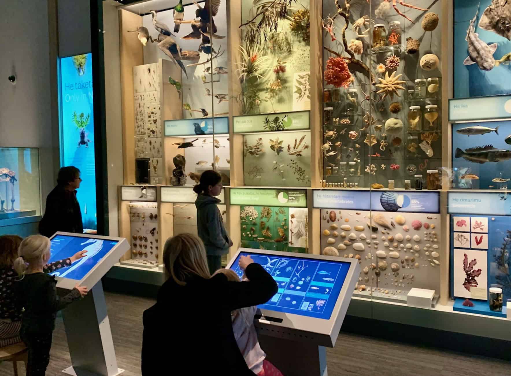 Te Taiao | Nature exhibition at Te Papa Tongarewa - Museum of New Zealand