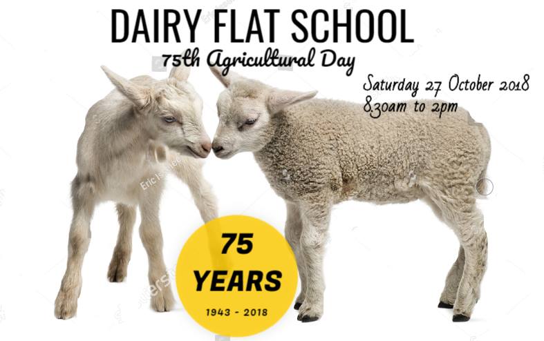 Dairy Flat School Ag Day