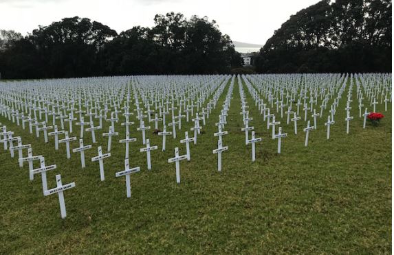Field of rememberance at Auckland Museum