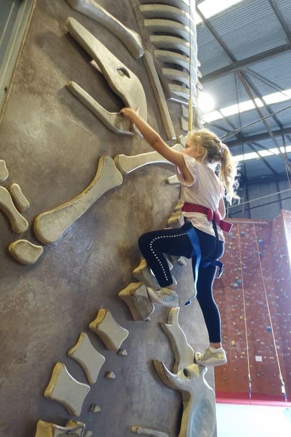Kids indoor rock climbing at Extreme Edge Auckland for Kids