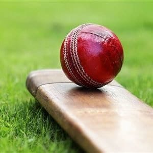 Cricket bat and ball