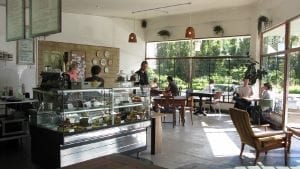 Humbug cafe | Glen Eden | Auckland