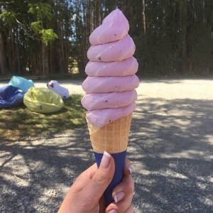OOB Organic berry ice cream