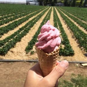 Fresh strawberry ice cream in a cone