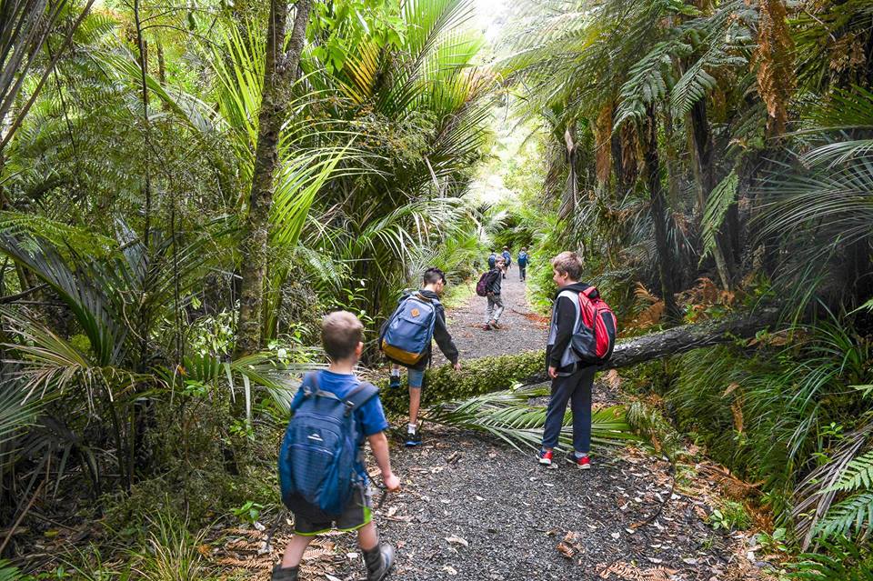 Forest Quest at Arataki Visitor Centre in Waitakere, Auckland