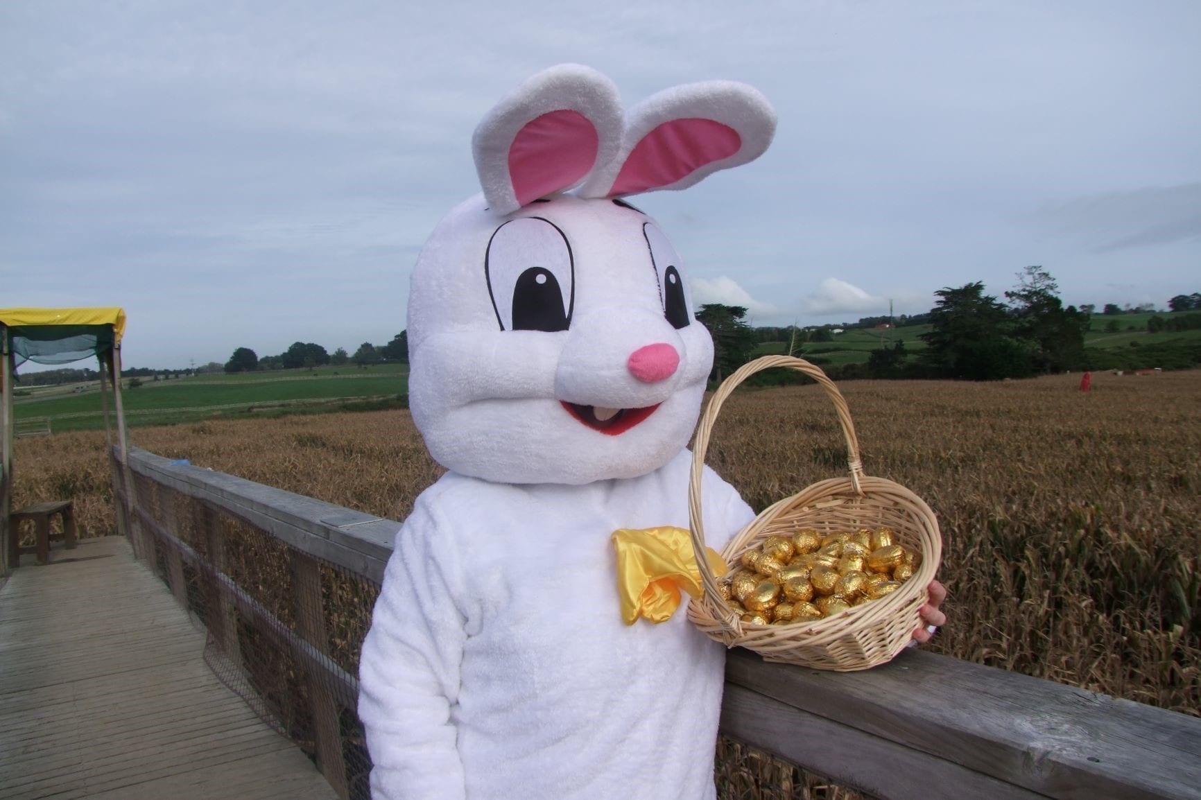 Easter bunny at the Amazing Maize in Auckland for Kids