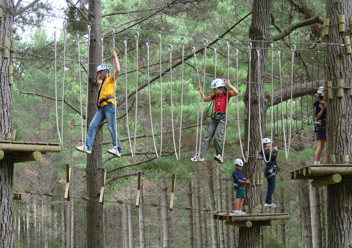 Tree adventures AUCKLAND FOR KIDS