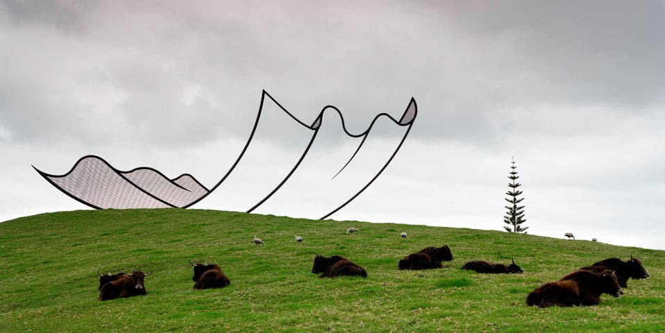 Gibbs Farm art sculpture and buffalos