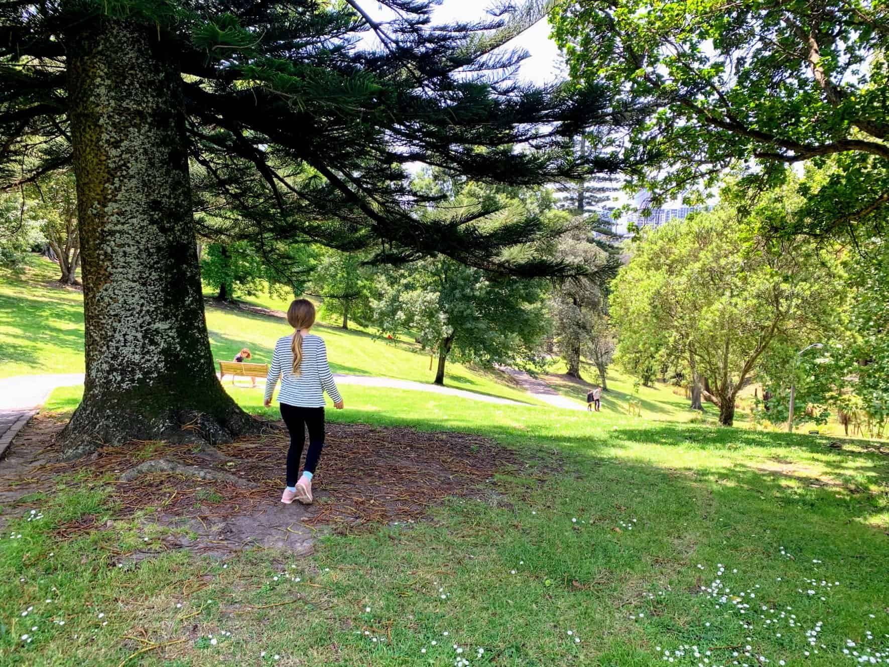 Auckland for Kids visits Western Park in Ponsonby & Freemans Bay | Photo by Auckland for Kids