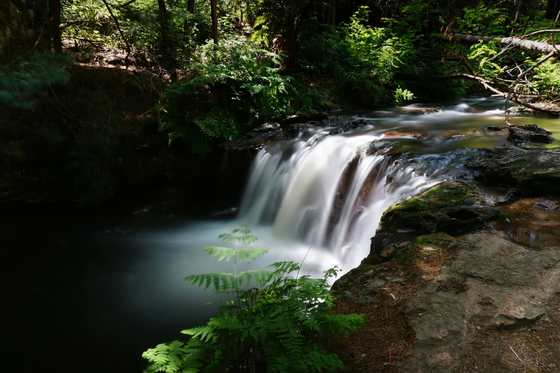 Kerosene Creek, Waiotapu, New Zealand - Photo by Luca Calderone