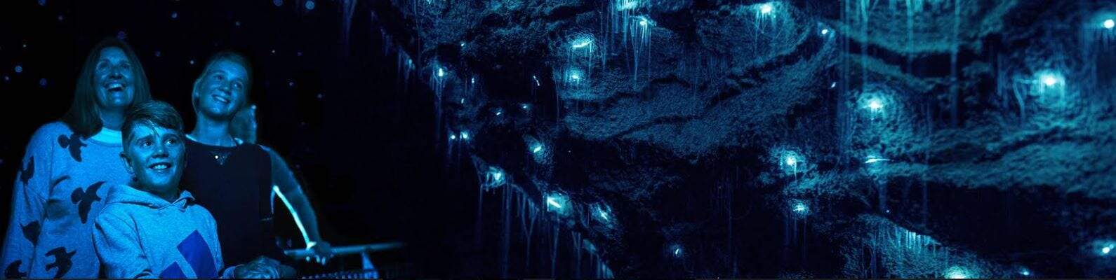 Waitomo Glowworm Caves