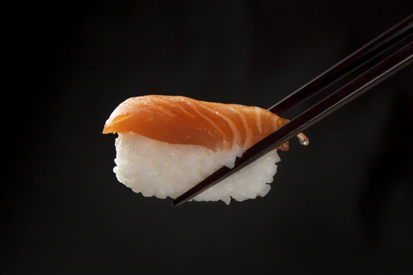 Japanese Salmon Sushi