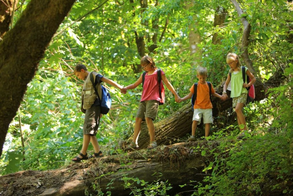 Children in wilderness at Treetops Lodge NZ