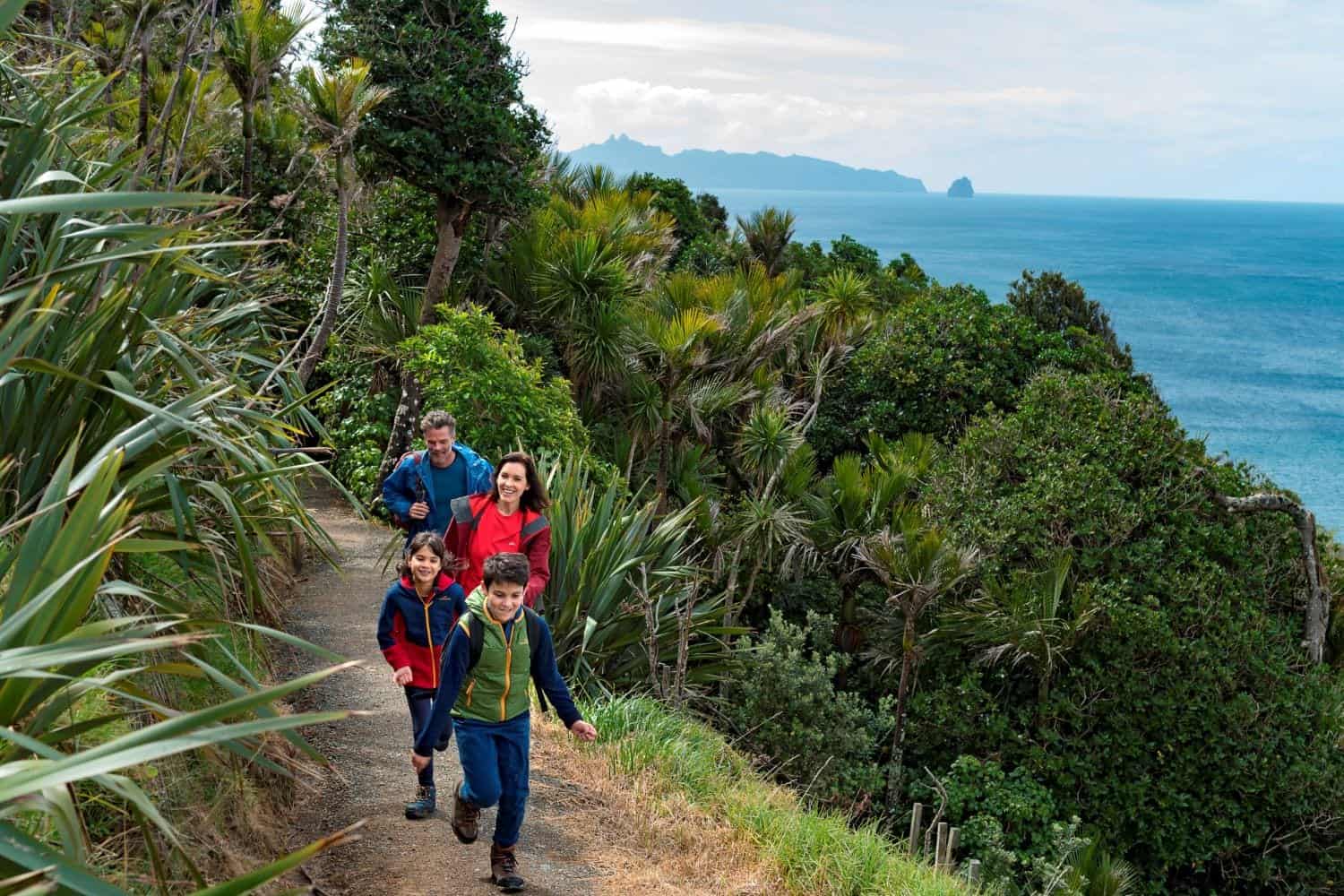 Mangawhai Cliffs Walkway