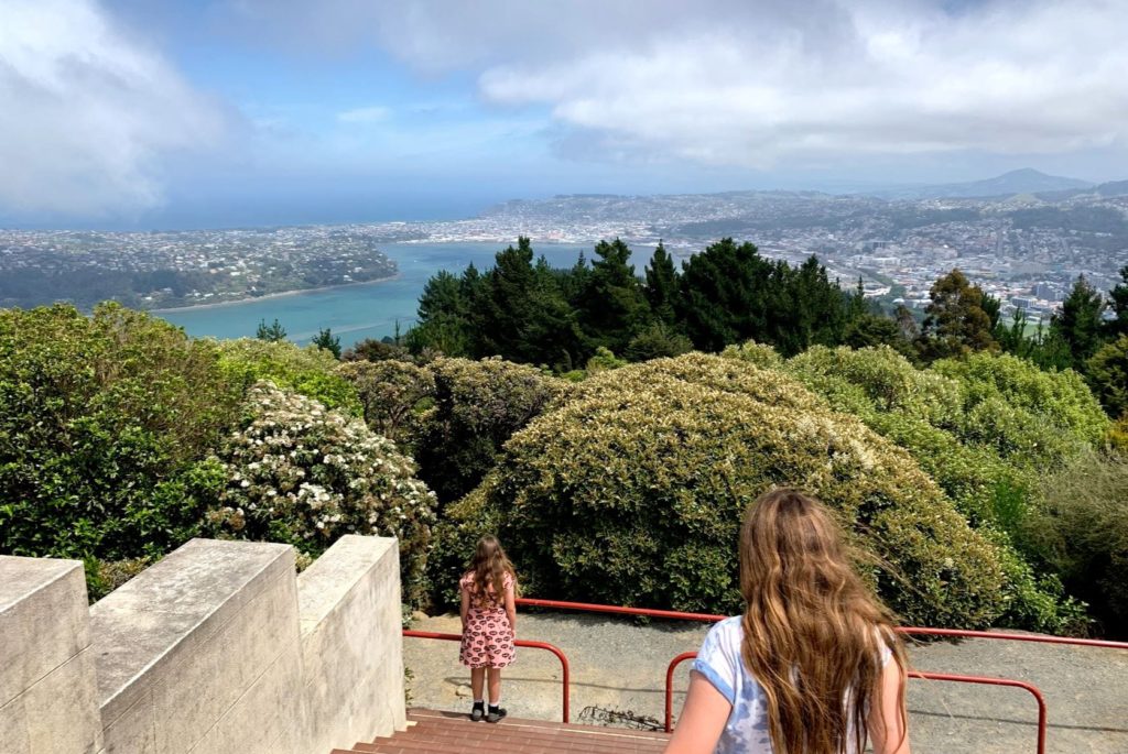 Dunedin Signal Hill - Photo by Auckland for Kids