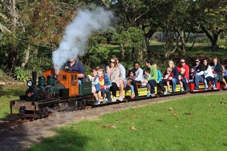 Manukau Live Steamers