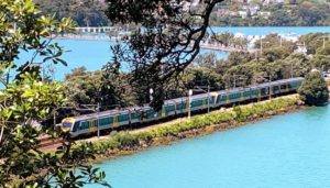 Train by Tamaki Drive in Auckland - Photo by Auckland for Kids