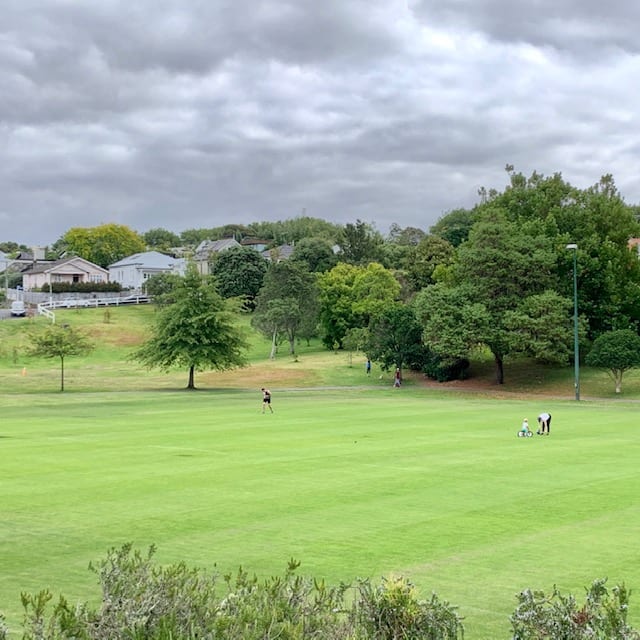 Sports fields at Grey Lynn Park | Photo by Auckland for Kids