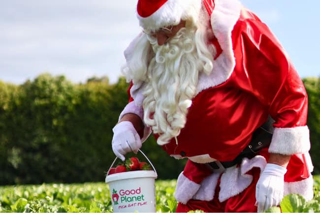 Santa at Good Planet