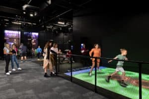 All Blacks Experience NZ