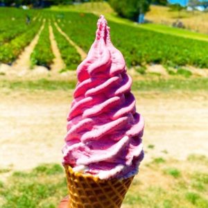 Clevedon Strawberries ice cream