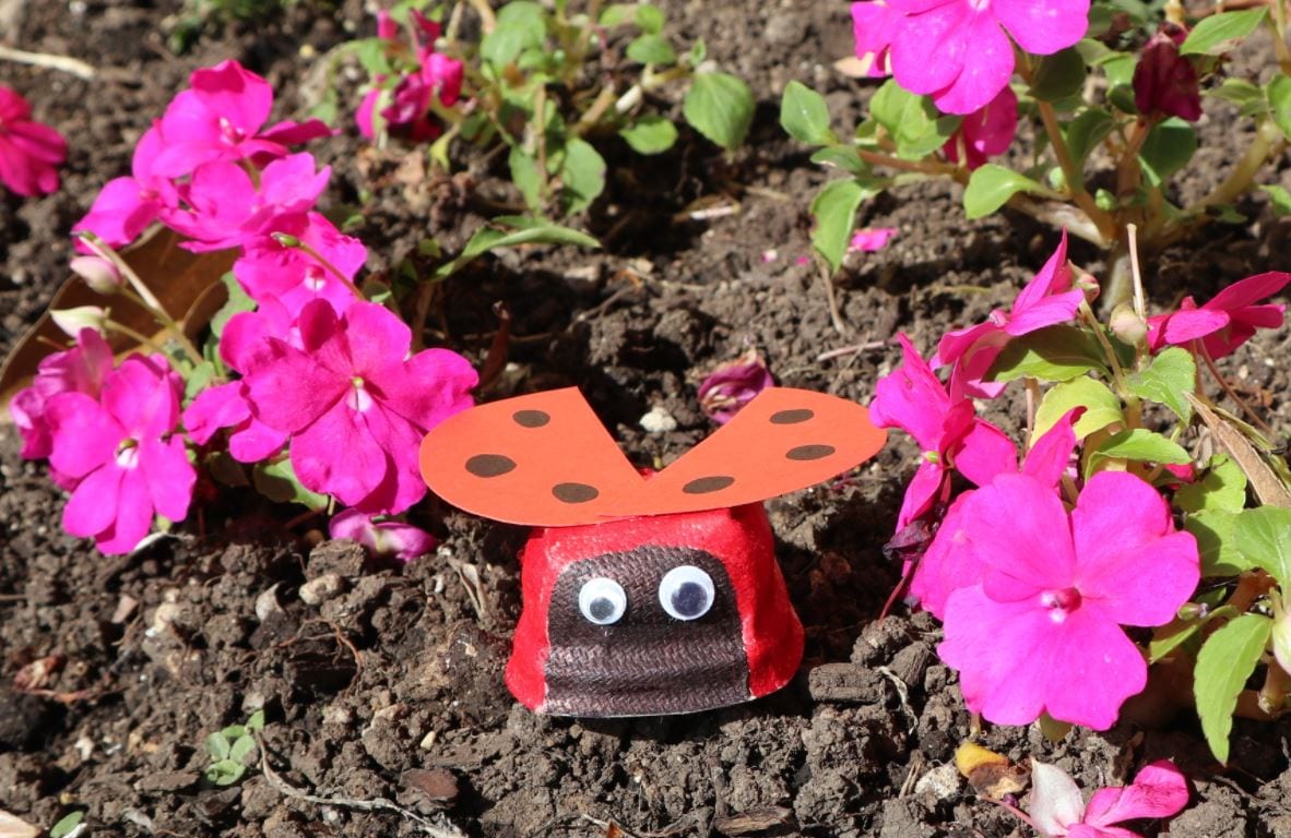 Craft Ladybug