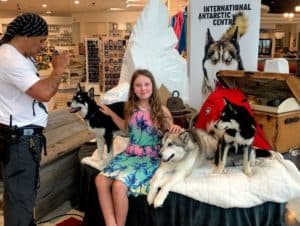 Huskies at International Antartic Centre