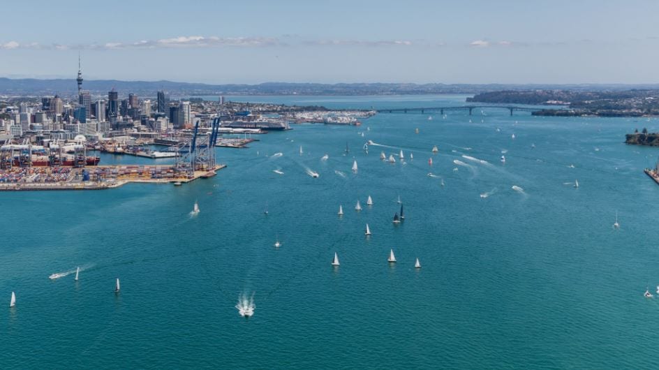 Yachts on Auckland Harbour