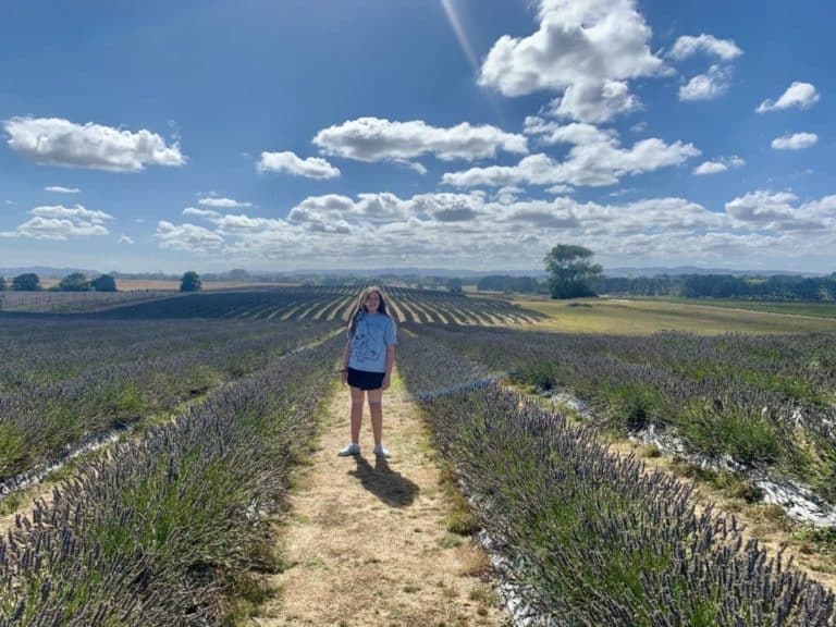 New Zealand’s most Beautiful Lavender Farms Auckland for Kids