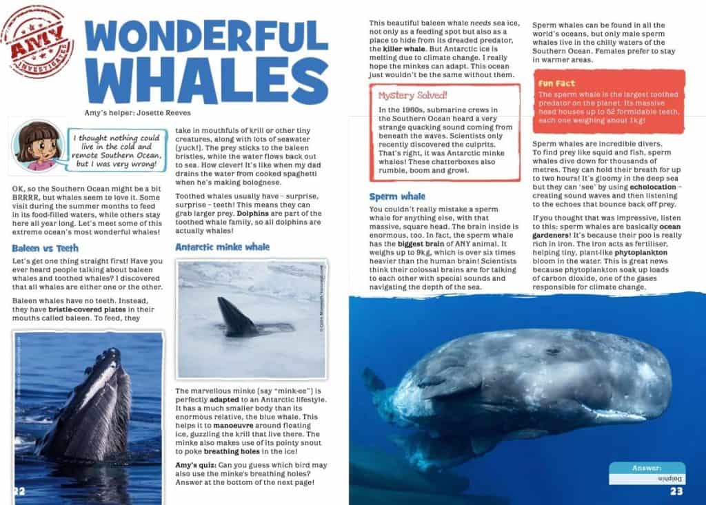 Eco Kids magazine spread titled "Wonderful Whales" featuring Antarctic minke and sperm whales with illustrations and facts