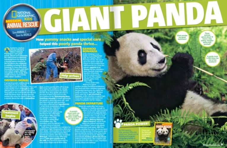 National Geographic Kids Giant Panda