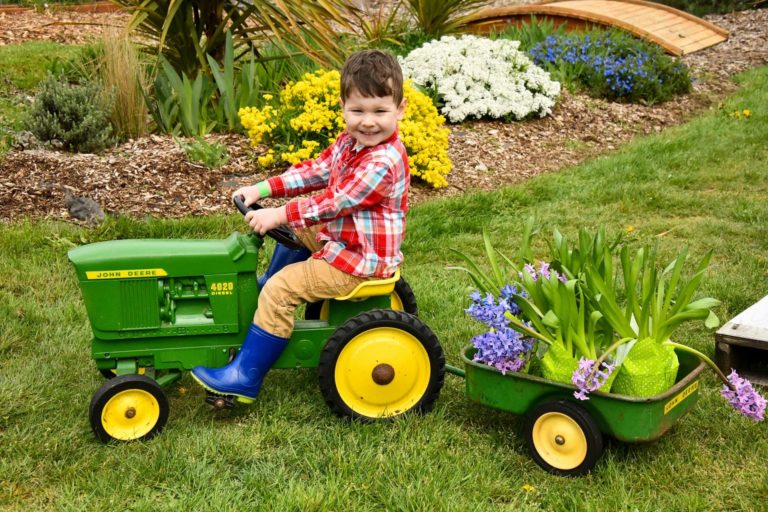 Boy in garden on Tractor with spring flowers