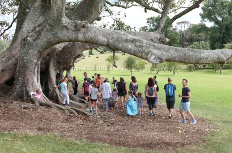 Cornwall Park Children's Walk