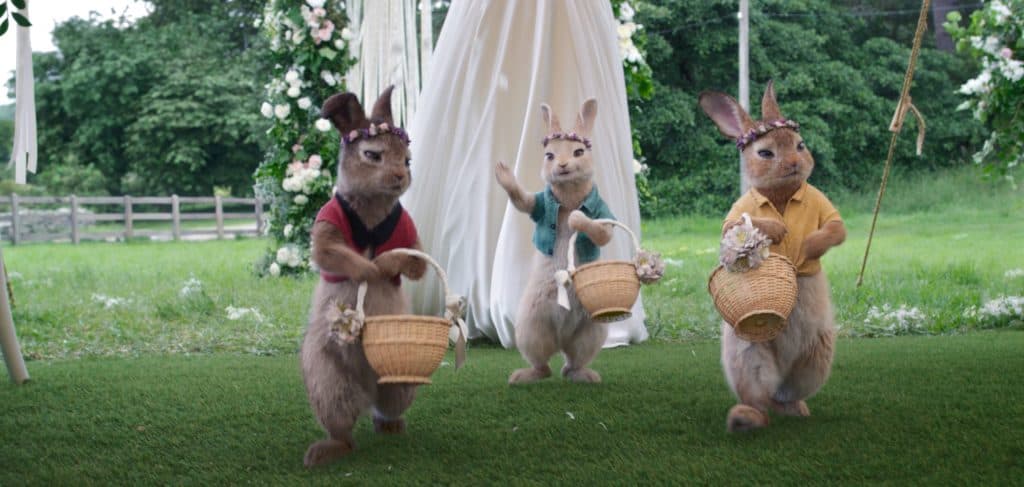 PETER RABBIT 2 hops into cinemas this Easter! | Auckland for Kids