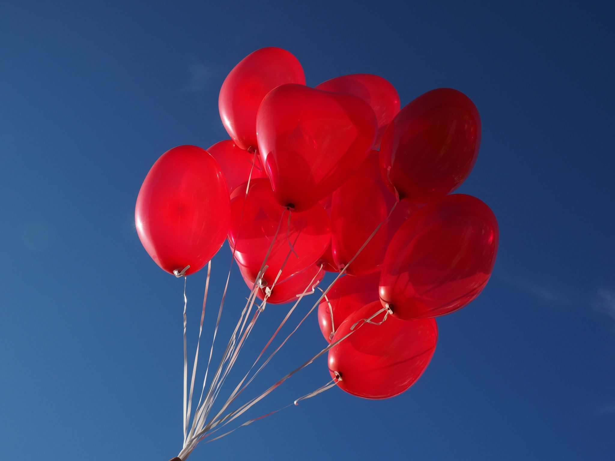 Red balloons in the blue sky