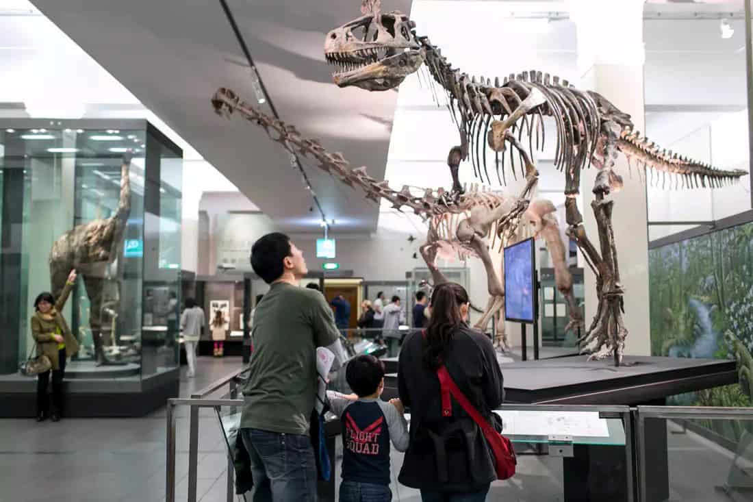 Dinosaurs at Auckland Museum's Origins Gallery