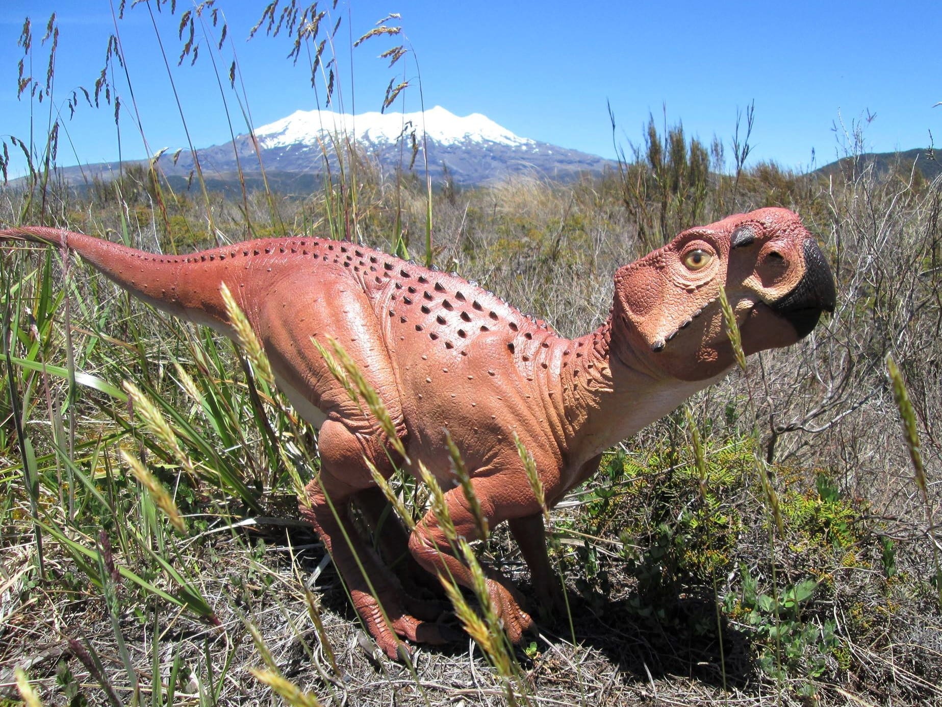 Psittacosaurus Dinosaur in front of Mt Ruapehu