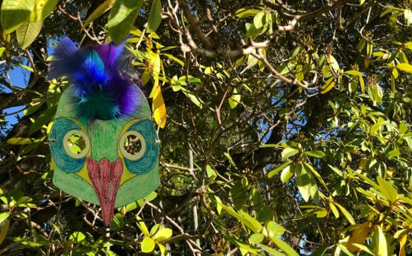 Make Bird Masks Cornwall Park