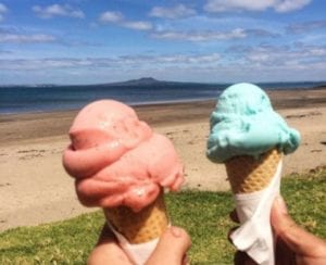 Penguino Ice Cream in Browns Bay