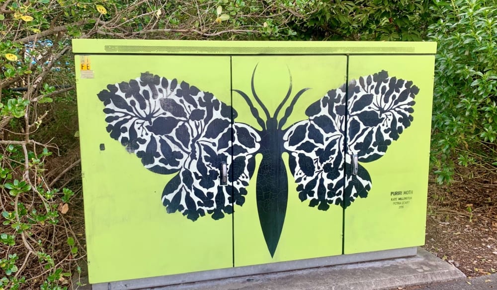 Puriri Moth Power Box Painted by Kate Millington next to Virginia Reserve Eden Terrace AFK