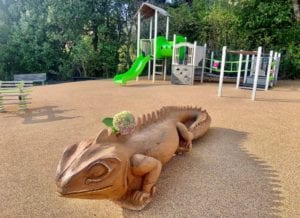 Wooden tuatara Virginia Reserve Playground AFK