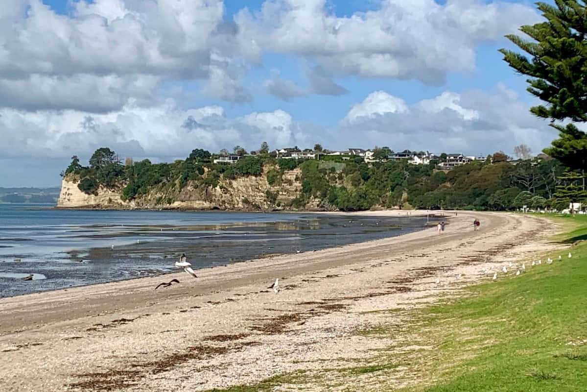 Eastern Beach Playground in East Auckland Auckland for Kids