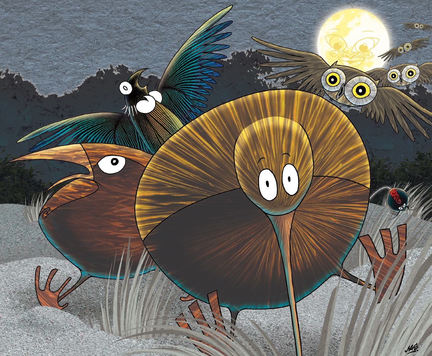 The Little Kiwis Matariki children's book