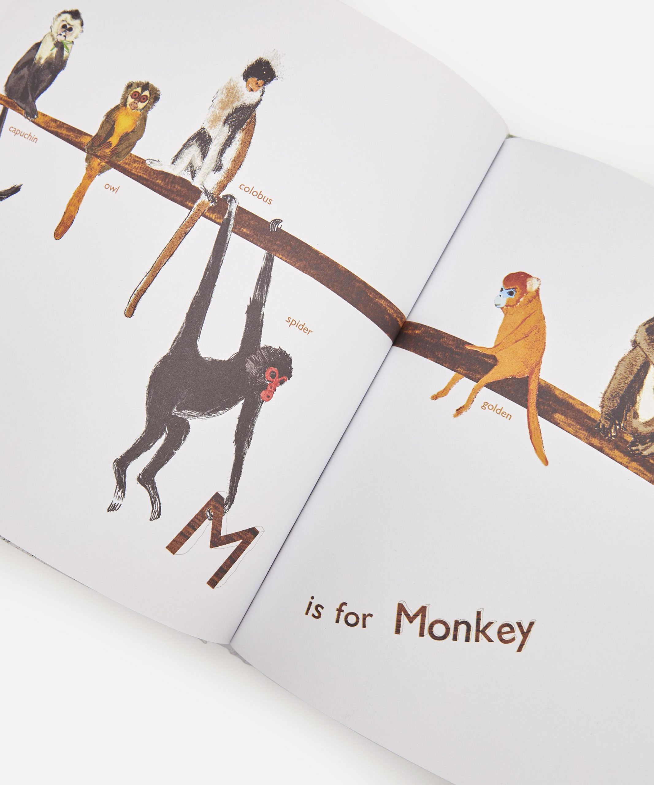 M is for Monkey from Animal Alphabet Book