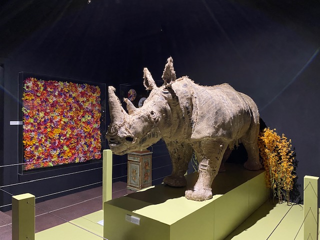 Sculptureum Rhino
