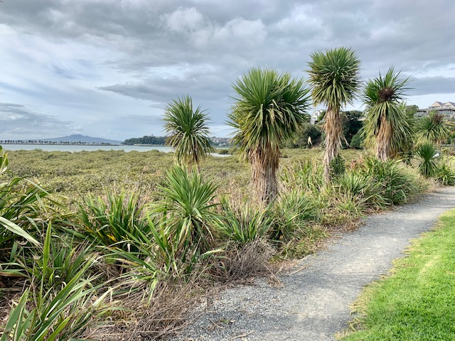 Shore Road Reserve path by Hobson Bay