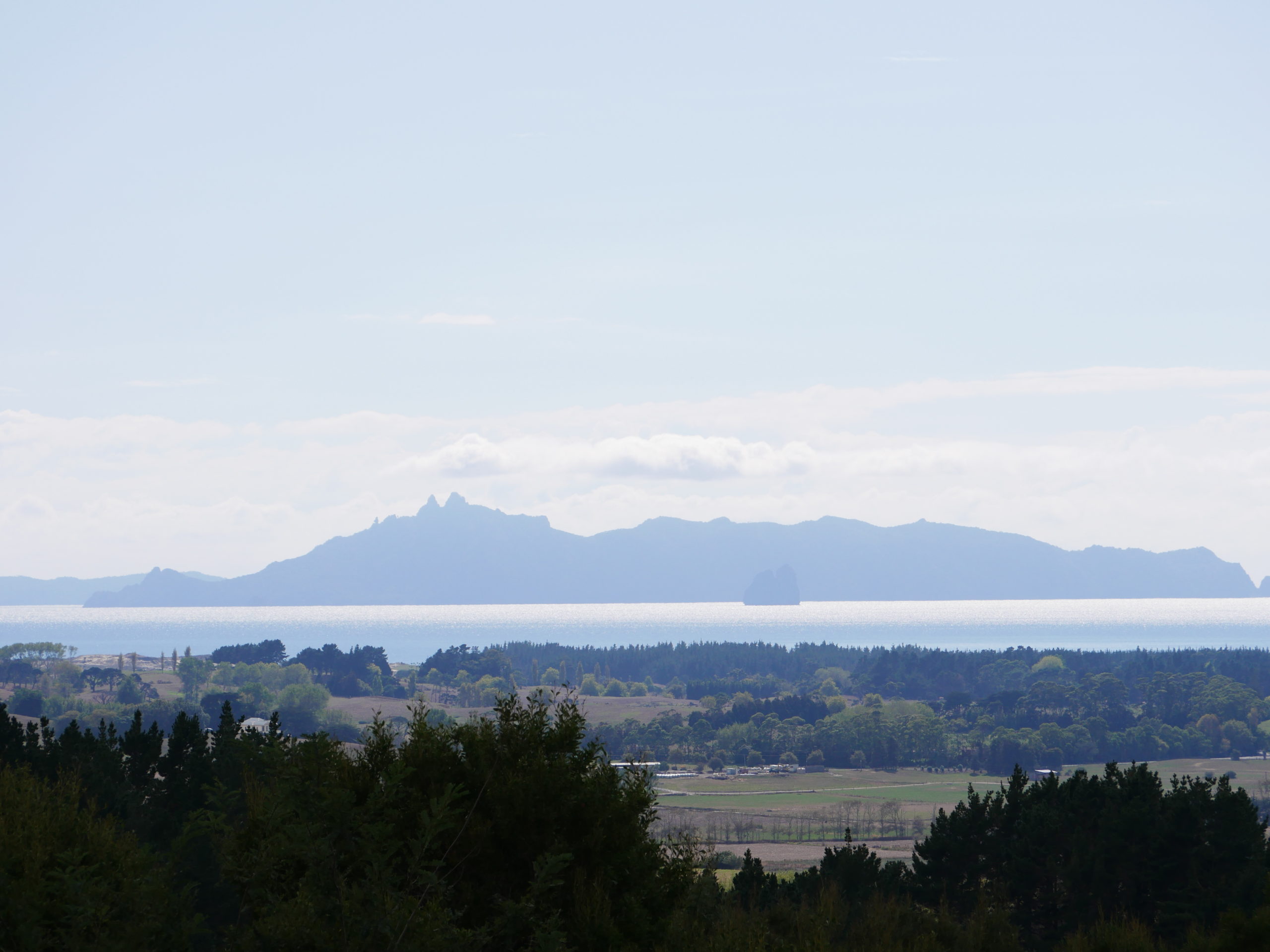 The view from Aotearoa Surf's glamping site