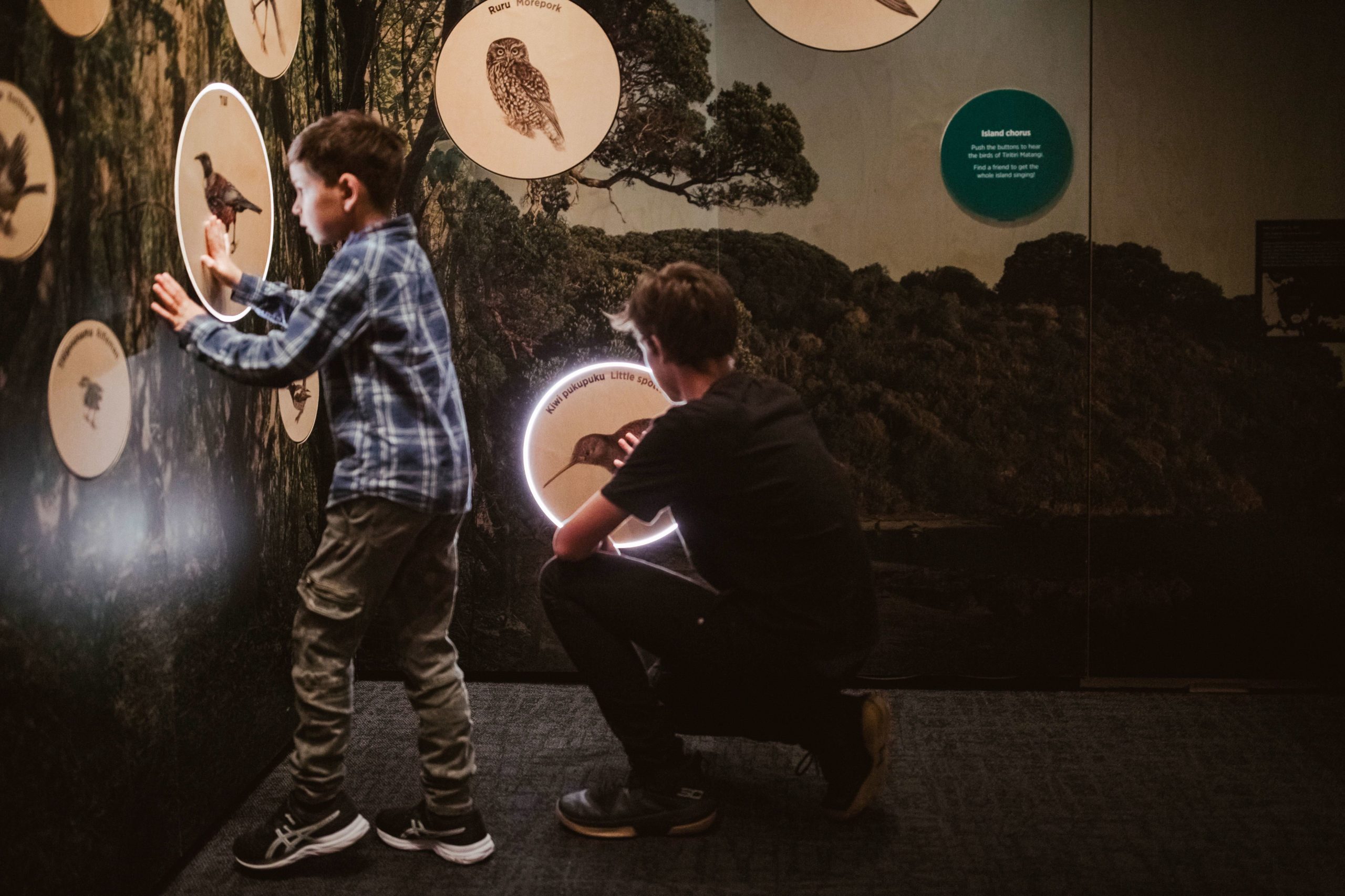 Children making the birds sing at Auckland Museum